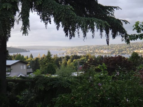 View as seen from living room window. This is not a zoomed in photo of view.