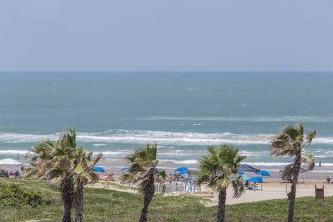 On the beach