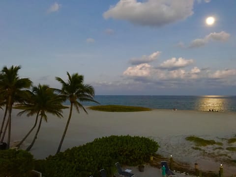 On the beach, sun loungers