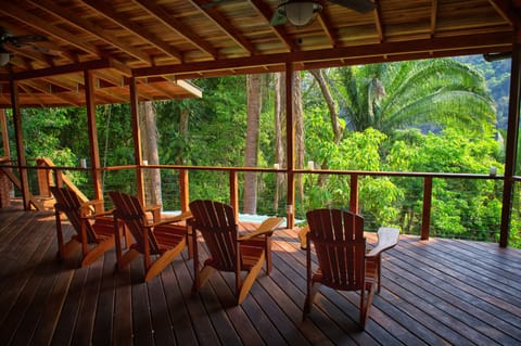 Upper Deck jungle view.