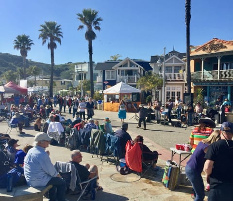 Farmers Market - Take in Friday night Farmers Market from spring to fall. Live music, food vendors. A favorite Avila Beach event just outside your condo.
