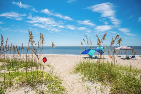 On the beach