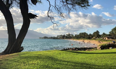 Beach nearby, sun loungers, beach towels