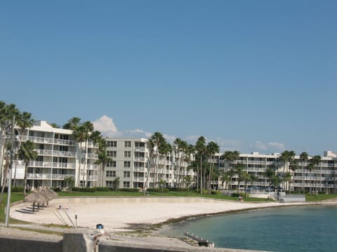 Sun loungers, beach towels