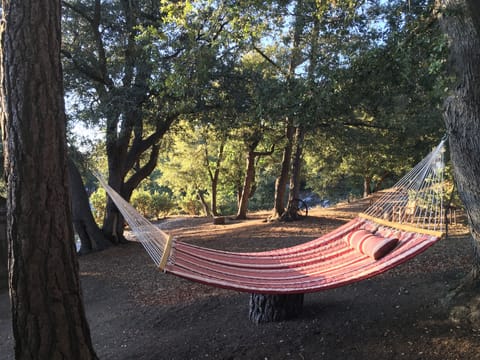 Relaxing Hammock For Two