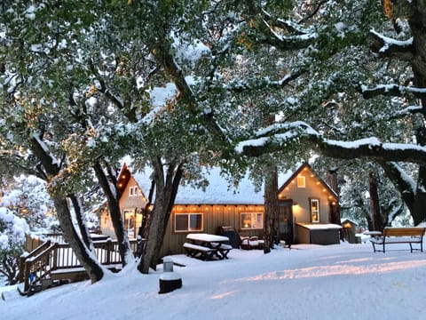 Cozy Oaks Cabin in Wintertime