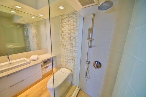 Combined shower/tub, hair dryer, bidet, towels