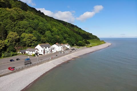Seagulls Rest on the coastline in Minehead