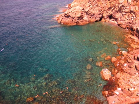 Swimming in the Marina