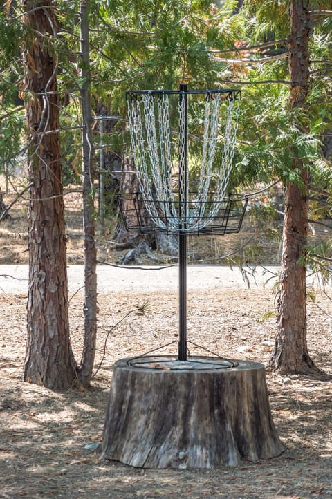Disc Golf Basket, Discs for practicing are in the garage
