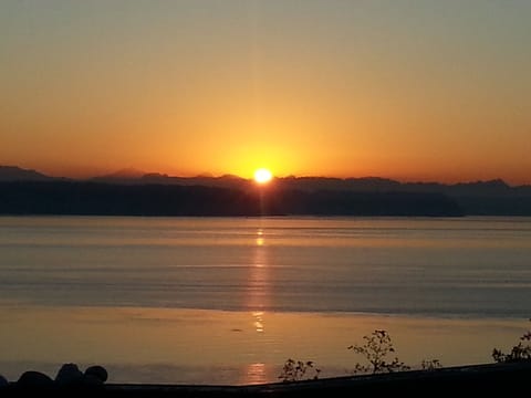 Loki Sunrise