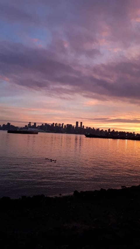 Bottom of hill: the foot of Fell St is King's Mill Park. Vancouver City scape