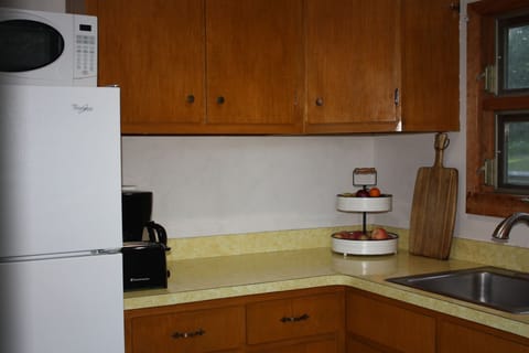 Fridge, oven, stovetop, coffee/tea maker