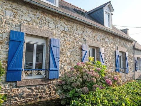 Plant, Flower, Window, Building, Sky, Blue, Cottage, House, Door