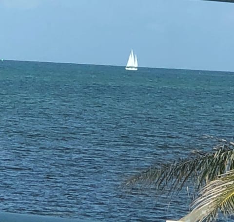 Sun loungers, beach towels