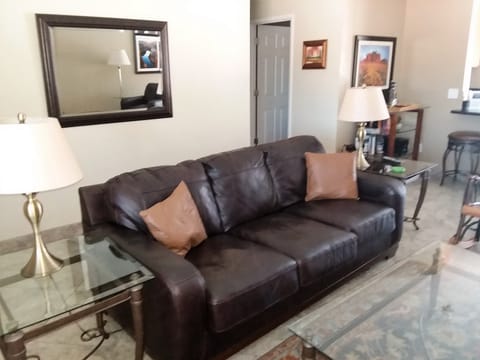 Leather Couch in Living Room