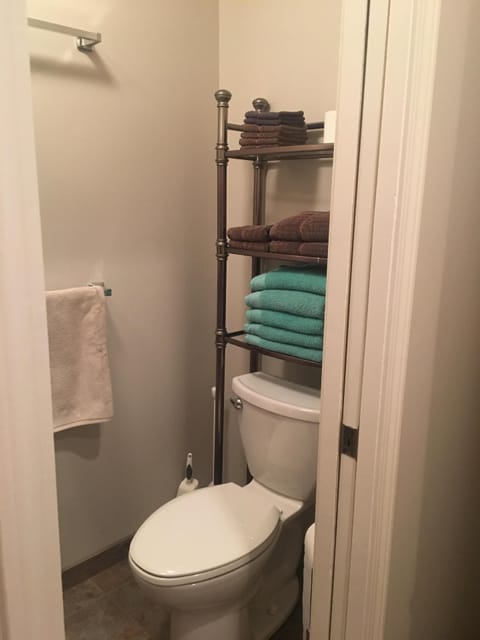 Hair dryer, towels, toilet paper