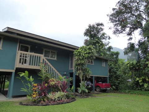 Front of house showing two of the parking spaces under house 