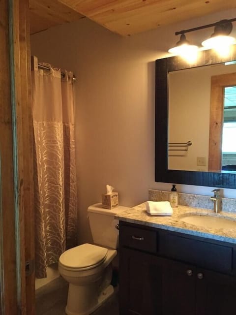 Combined shower/tub, hair dryer, towels