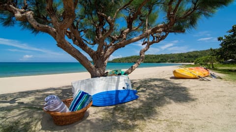 On the beach, sun loungers, beach towels