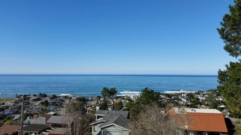 Beach/ocean view