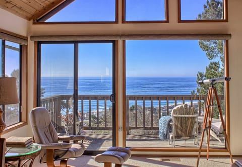 Living Room Windows