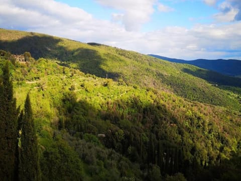 Surroundings [summer] (1-5 km)