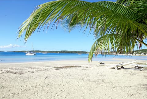 Sun loungers, beach towels