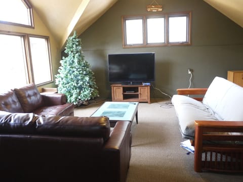 TV and lounging area.