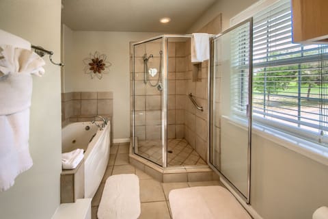 Combined shower/tub, hair dryer, towels