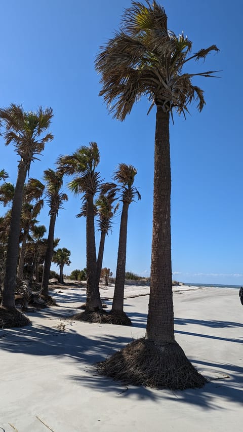 Beach nearby, sun loungers, beach towels