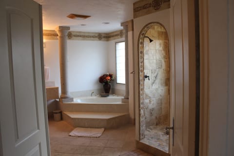 Shower, jetted tub, hair dryer, towels