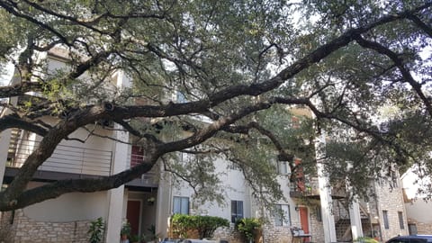Beautiful complex surrounded with large oak trees. Unique Austin area.