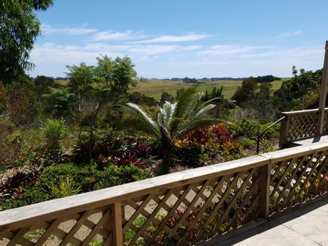 View from the Master Bedroom