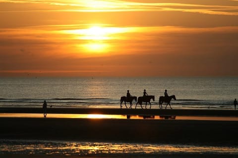 On the beach, sun loungers, beach towels