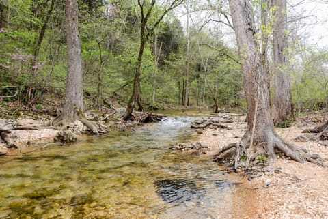 The creed behind the cabin is for the whole family to wade and play in.