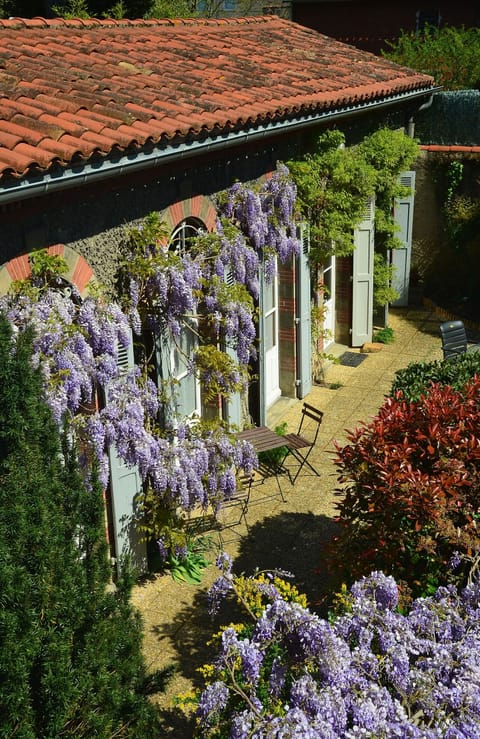 Gite Wisteria - this is where you could be staying.  All doors face the garden.