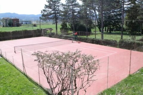 Sport court