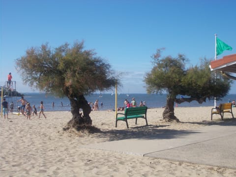 Beach nearby, sun loungers, beach towels