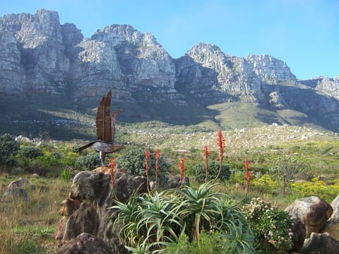 Your back garden! The Twelve Apostles & Pipe Track. LHS half way up, white rocks