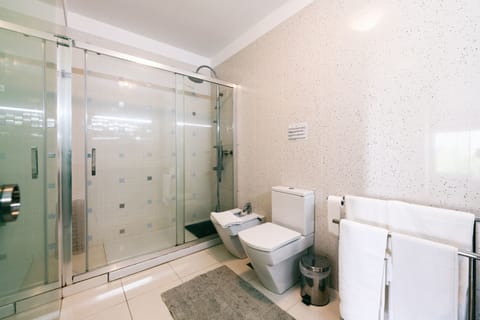 Combined shower/tub, hair dryer, bidet, towels