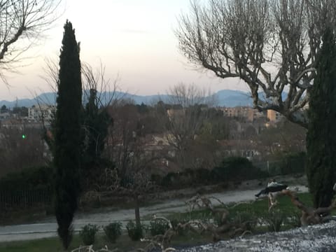 Views from Carpentras