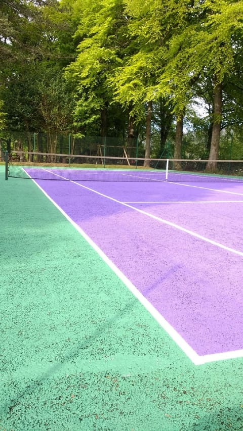 Sport court