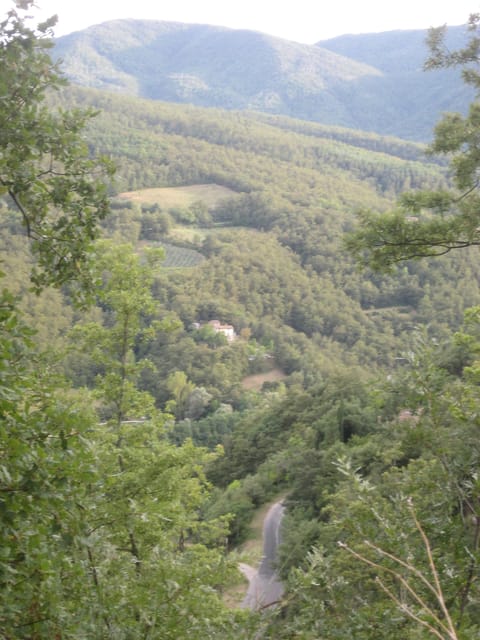Road leading out of village towards Cortona