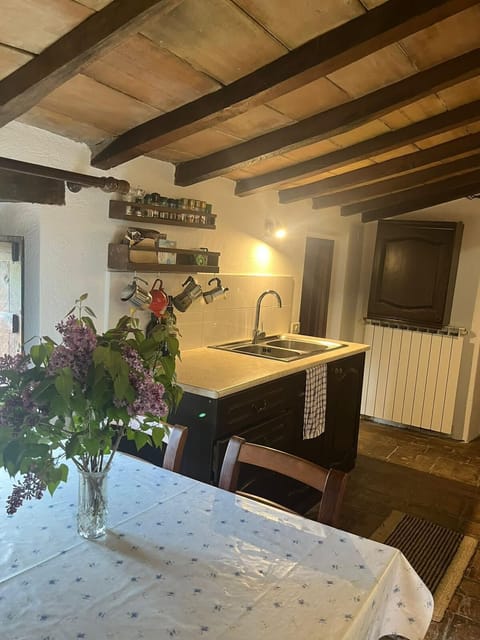 Kitchen and living room