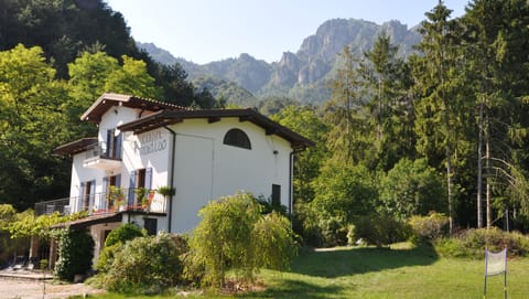View across the flower meadow