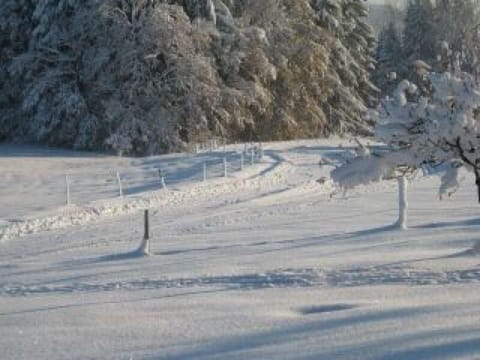 Snow and ski sports