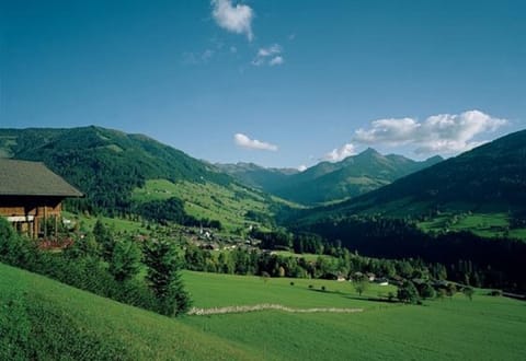 View of Alpbach