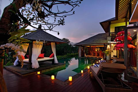 The View (Night)