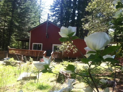 sunny and warm large home on 14 acre above the fog line in Gualala